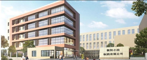 2020.5?衡陽小桔制藥有限公司?小桔生物科技10KV配電工程